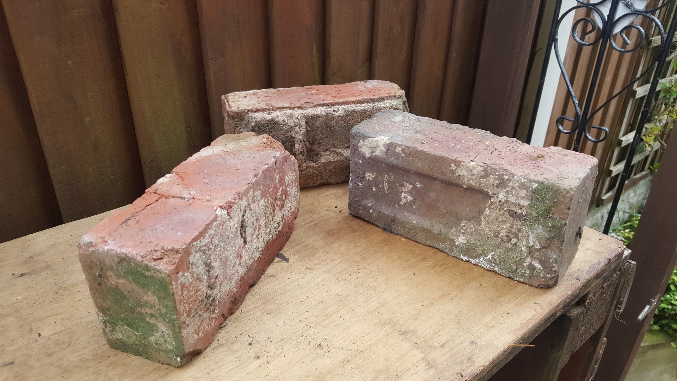 20200426_151944_resized